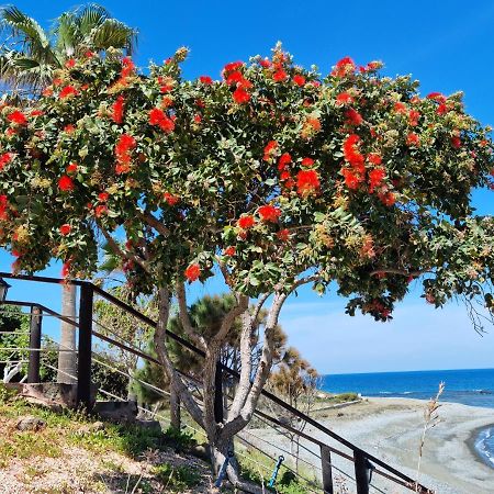 Astrofegia Beachfront Villa Pomos Eksteriør bilde