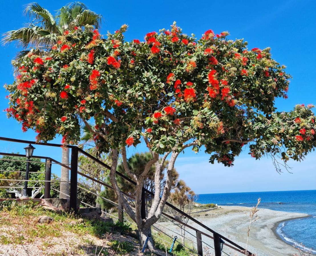 Astrofegia Beachfront Villa Pomos Eksteriør bilde