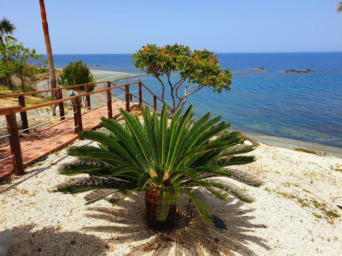 Astrofegia Beachfront Villa Pomos Eksteriør bilde