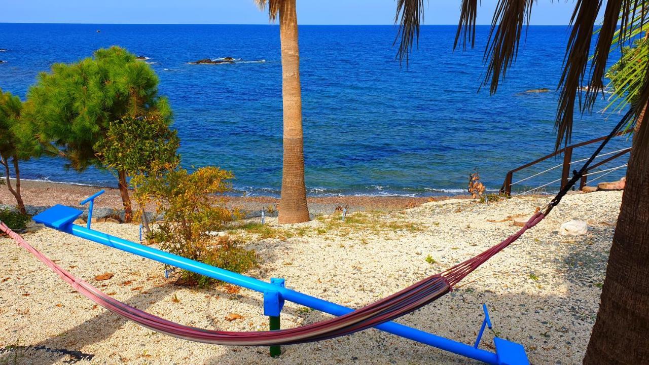 Astrofegia Beachfront Villa Pomos Eksteriør bilde
